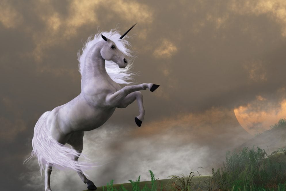 animal adventure unicorn
