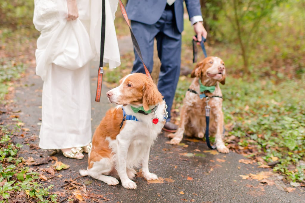 Meghan Foy Paul Martin DIY wedding with succulents and cute dogs DC Wedding Succulent-themed wedding