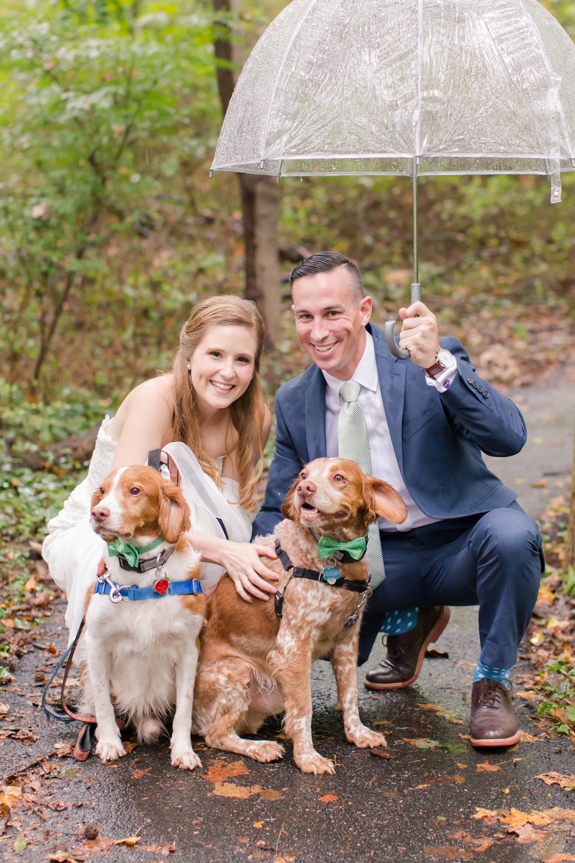 Meghan Foy Paul Martin DIY wedding with succulents and cute dogs DC Wedding Succulent-themed wedding