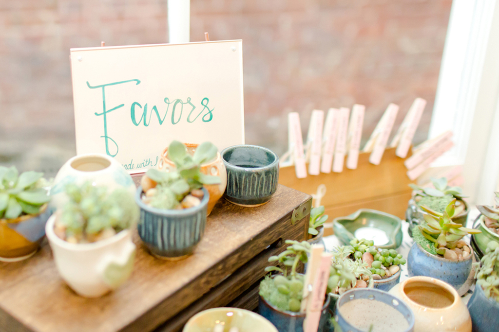 Meghan Foy Paul Martin DIY wedding with succulents and cute dogs DC Wedding Succulent-themed wedding