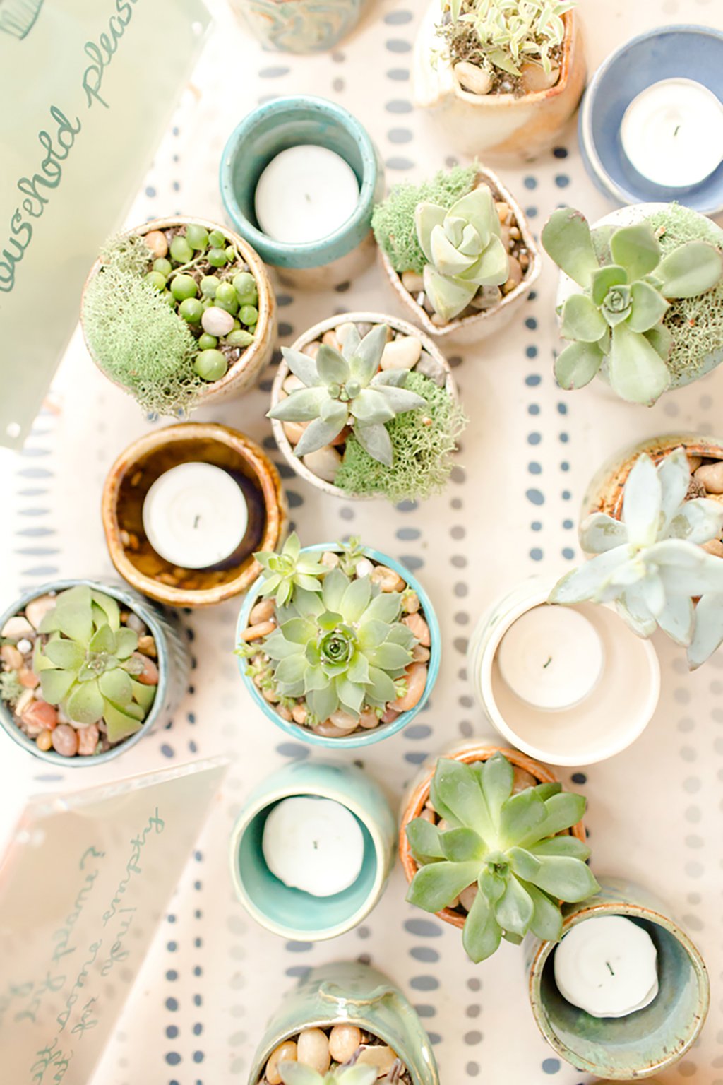 Meghan Foy Paul Martin DIY wedding with succulents and cute dogs DC Wedding Succulent-themed wedding