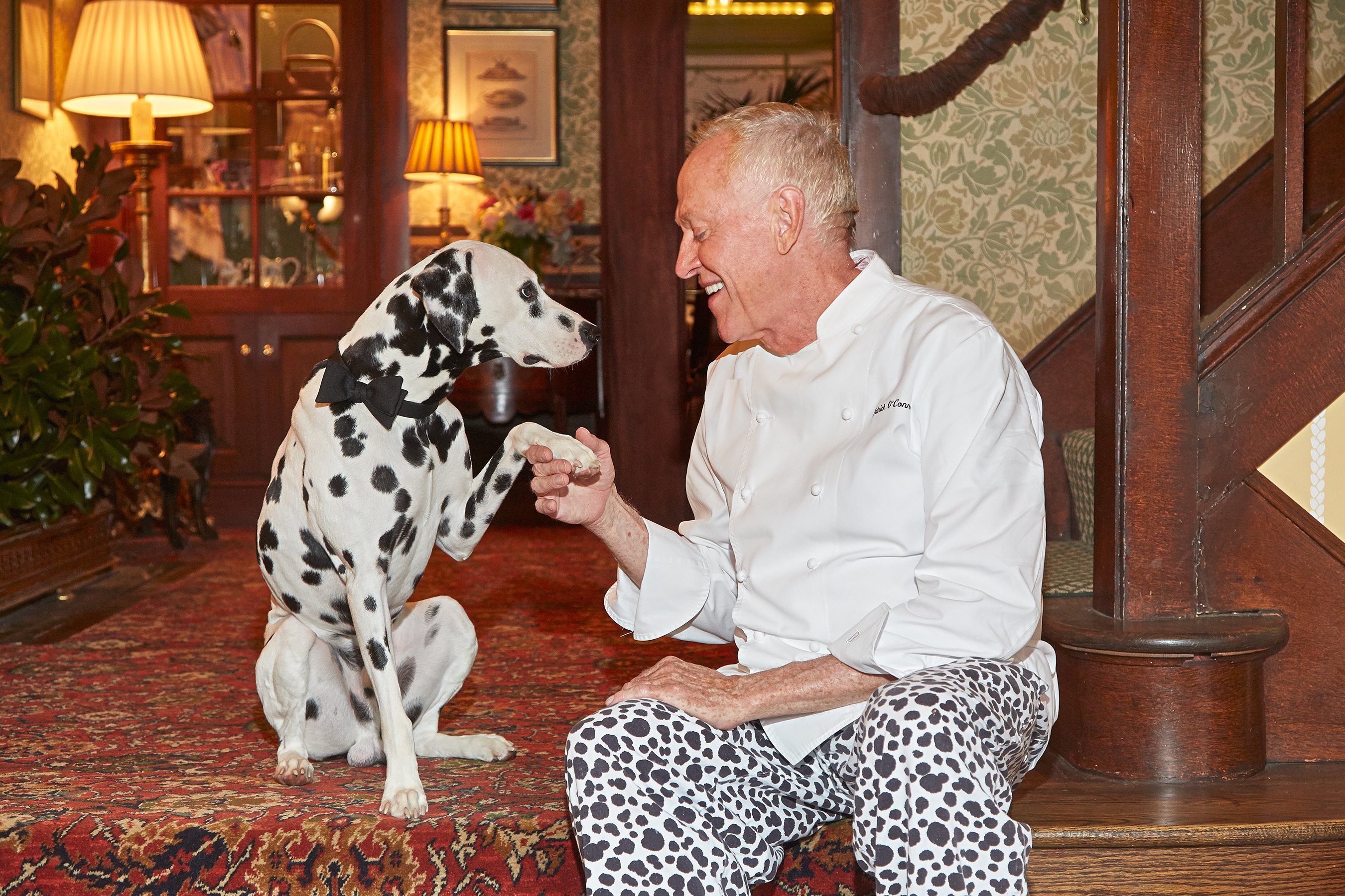 LuckyDog2 - Washingtonian