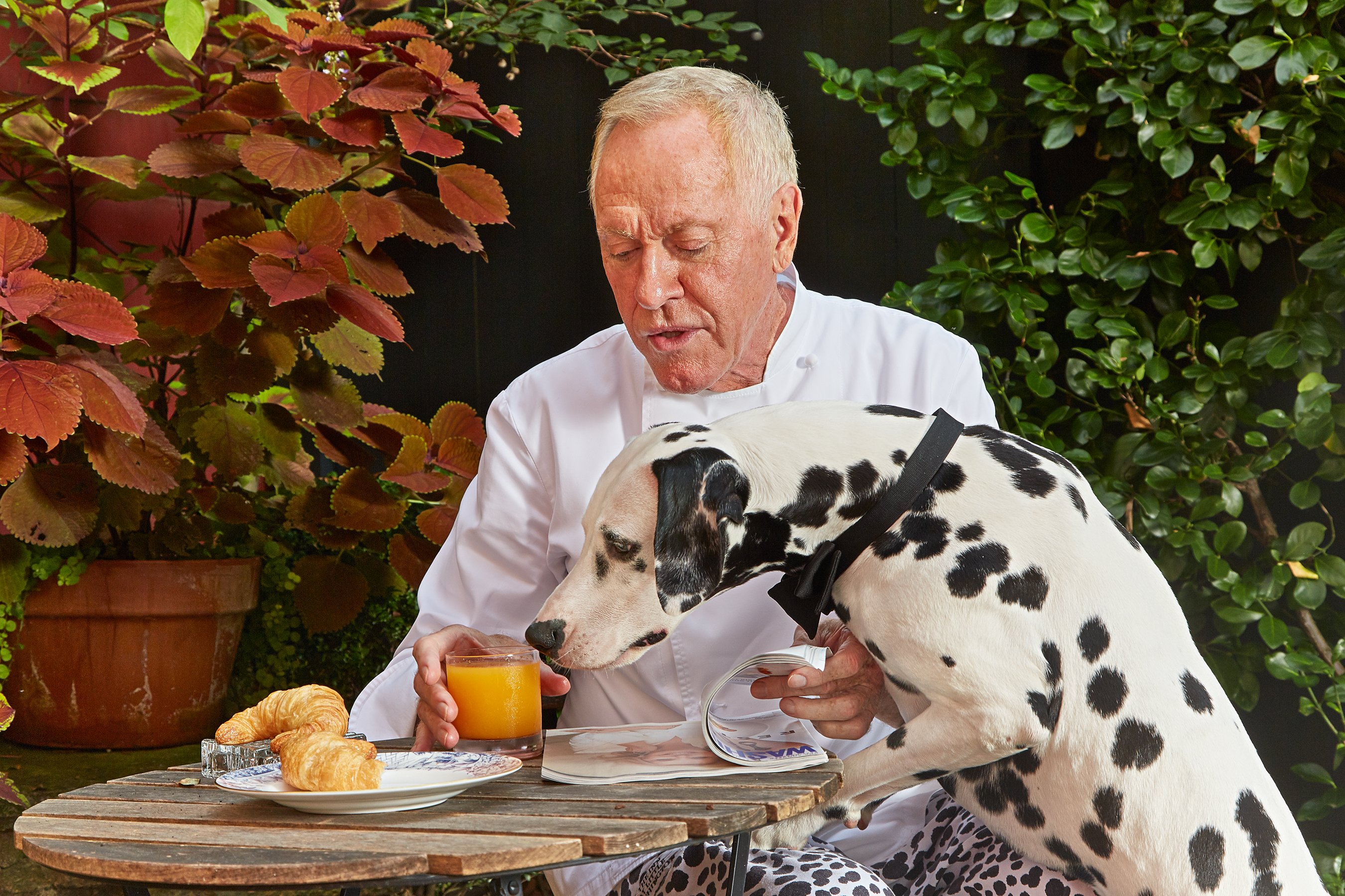 LuckyDog3 - Washingtonian