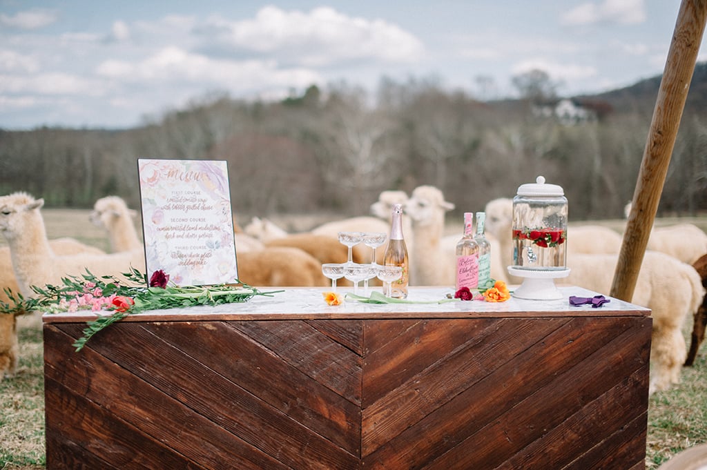 alpaca wedding alpacas wedding wedding with alpacas llama wedding llamas at wedding psychedelic photoshoot northern virginia 