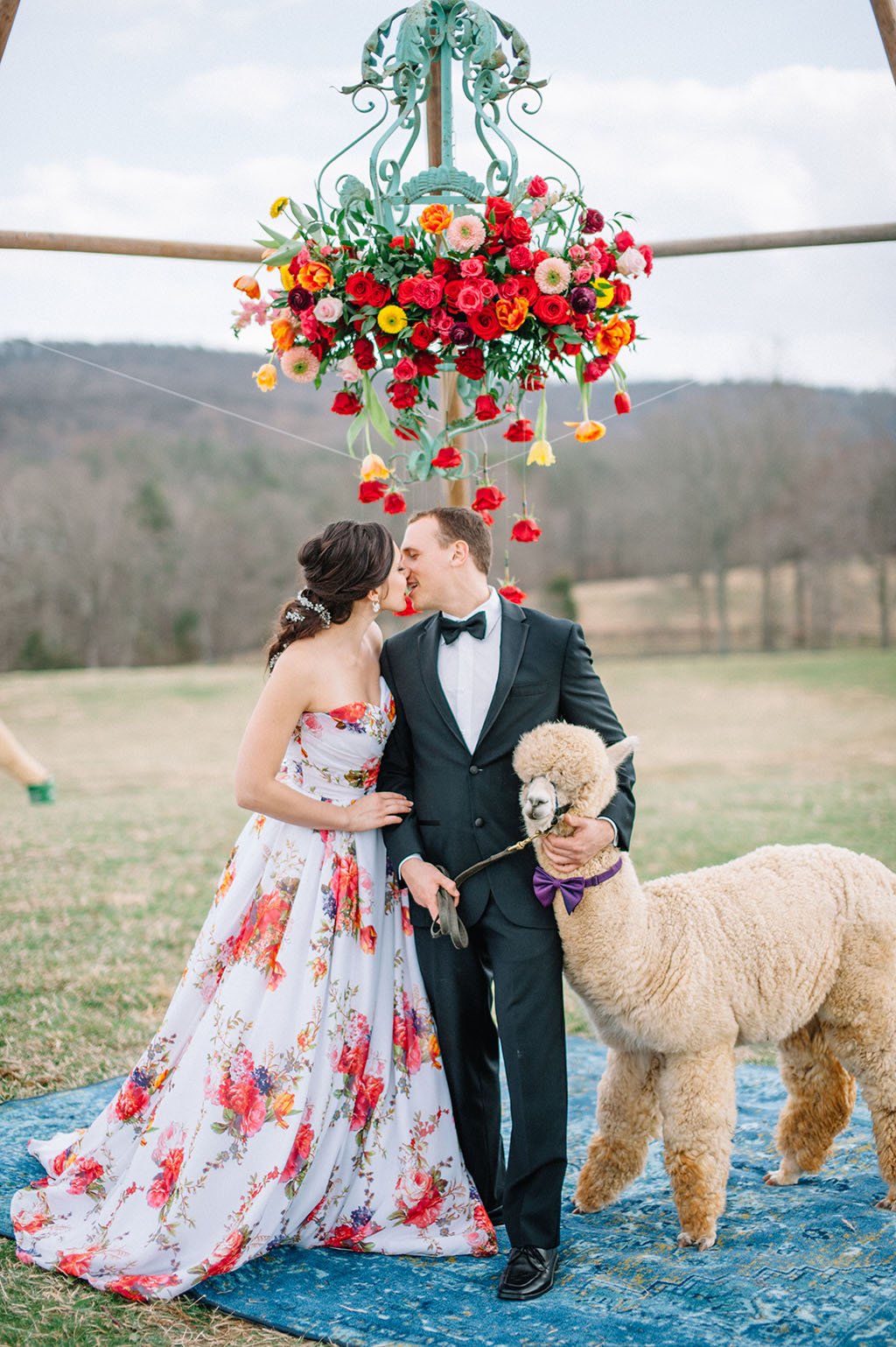 There Are SO MANY Alpacas at this Psychedelic Wedding  