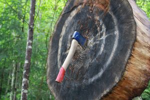 Drink Beer and Throw Axes at This Canadian-Style Sports Bar Coming to DC