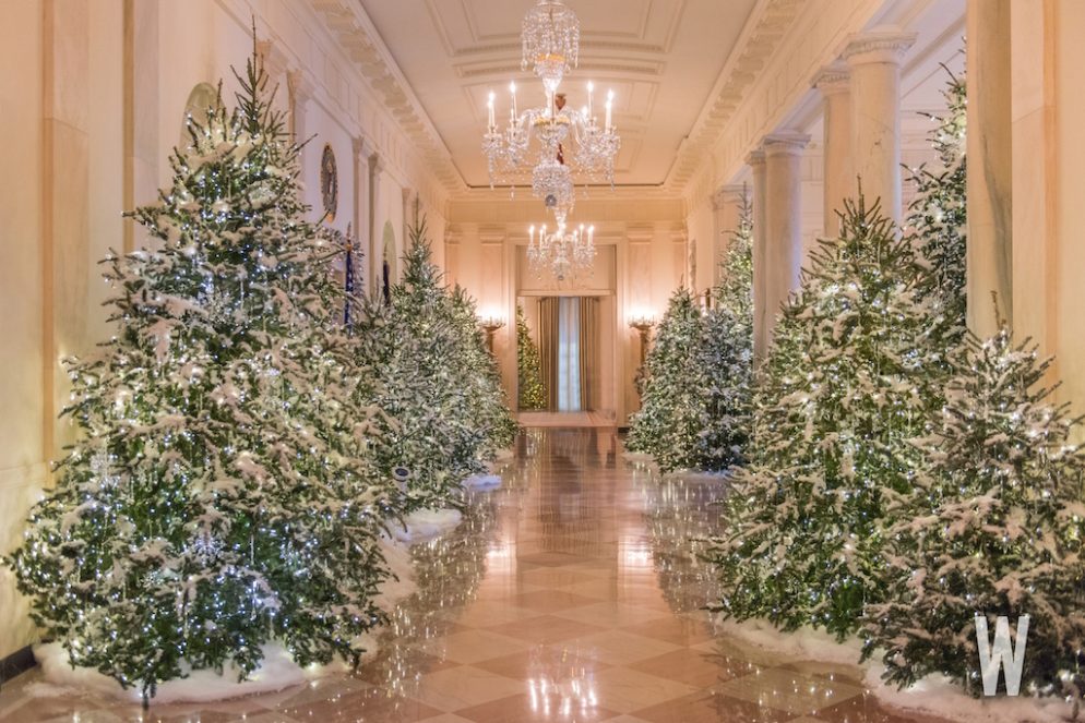 PHOTOS The 2017 White House Christmas Decorations Washingtonian (DC)