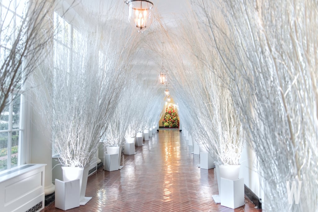 Image result for white house christmas decorations 2017 trees hallway