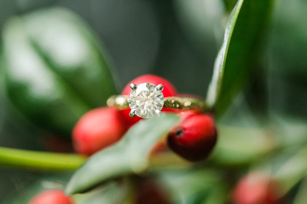 Claire Shiao + Paul Eleshewich | Xmas Engagement Anny Photography_AL6B2461