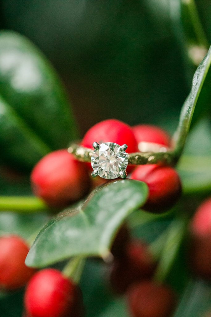 Christmas-Inspired Engagement Shoot