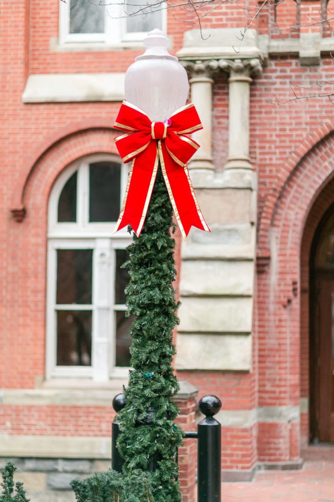 Claire Shiao + Paul Eleshewich | Xmas Engagement Anny Photography_AL6B2531