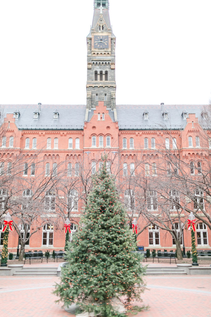 Christmas-Inspired Engagement Shoot