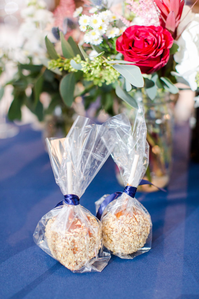 barns-hamilton-station-vineyard-wanka-wedding-reception-details-bethanne-arthur-photography-photos-40