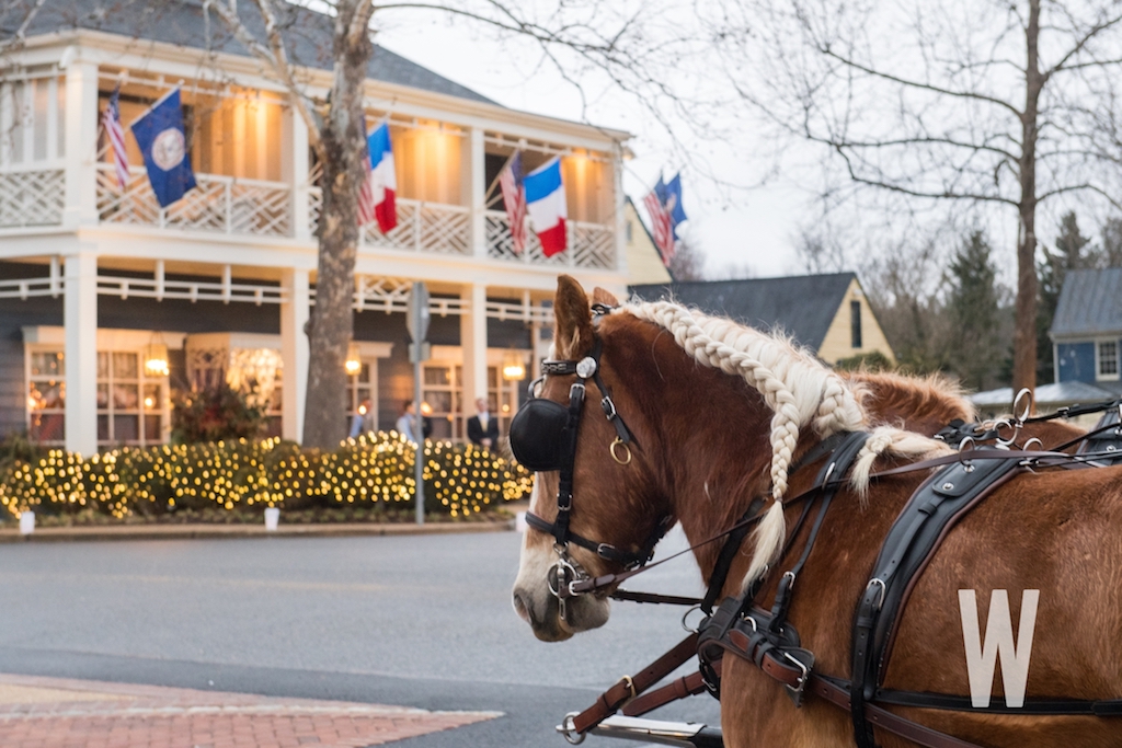 DSC_8703 - Washingtonian