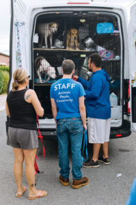 Dogs and Cats Affected by One of the Worst Hurricane Seasons Ever Are Starting Over in Washington