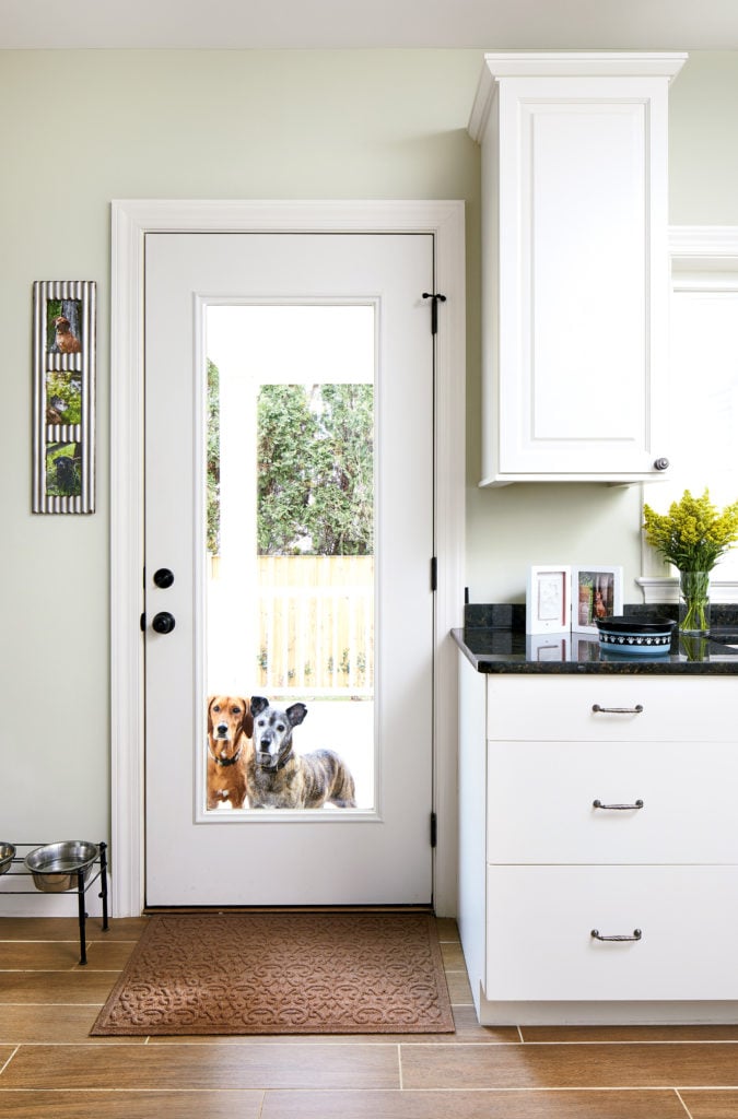 Take a look at this dog-centric Falls Church home, plus other pet-friendly design ideas. Photograph by Stacy Zarin Goldberg.