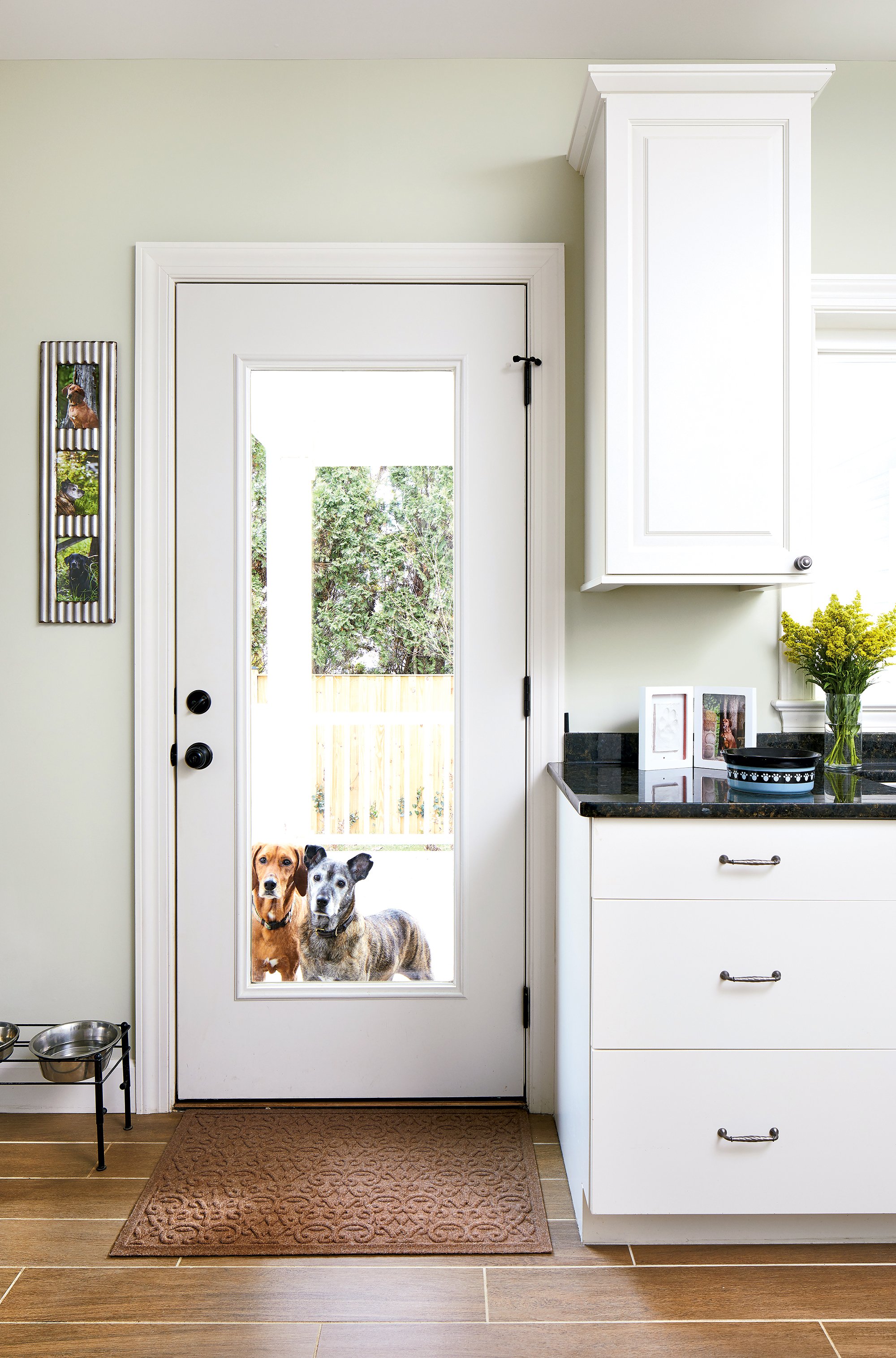 Take a look at this dog-centric Falls Church home, plus other pet-friendly design ideas. Photograph by Stacy Zarin Goldberg. 