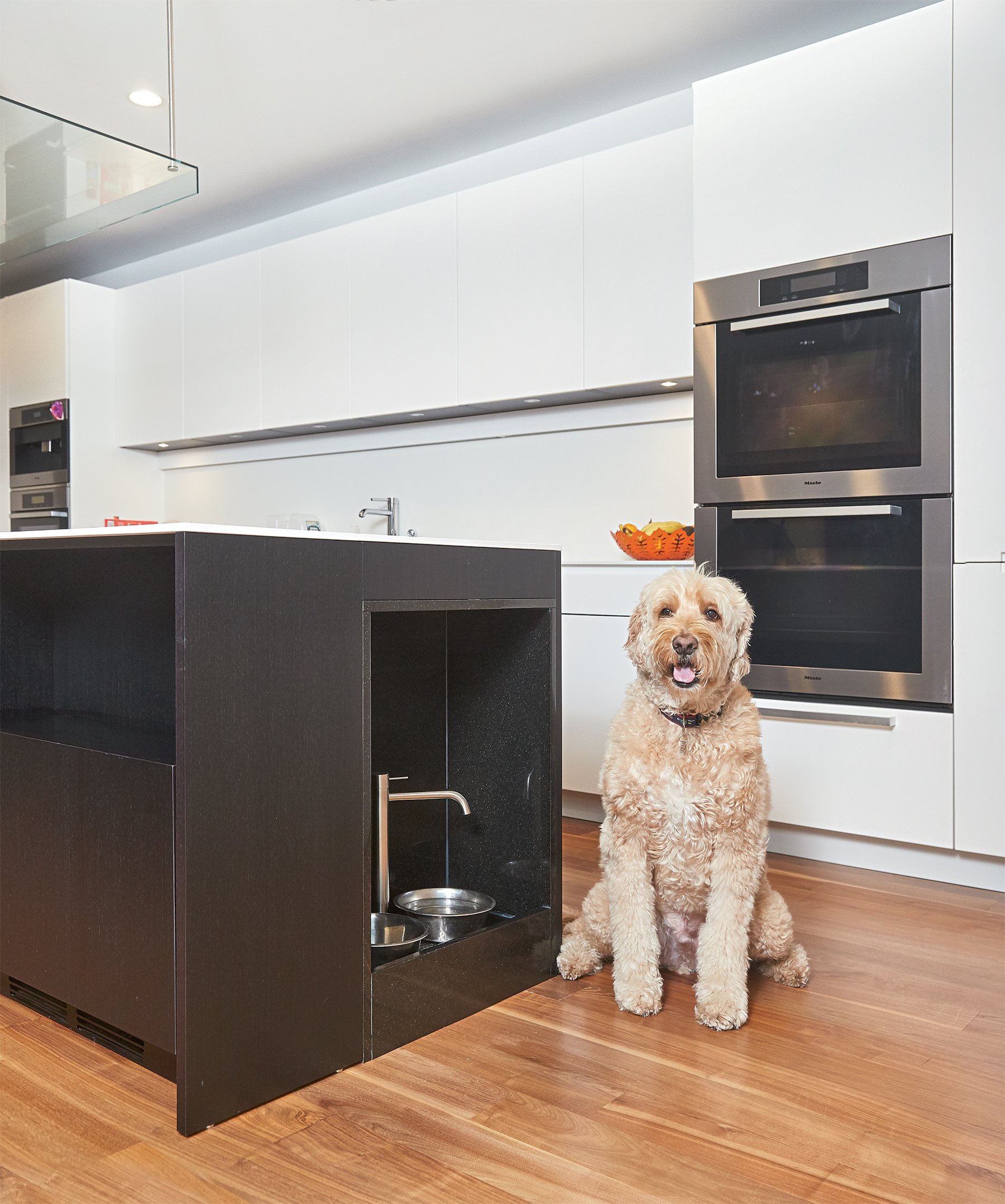 Architect Robert Gurney and the Italian design firm Boffi designed this custom eating and drinking station for Sawyer, a goldendoodle. Its interior is lined with black granite. Photograph by Jeff Elkins. 