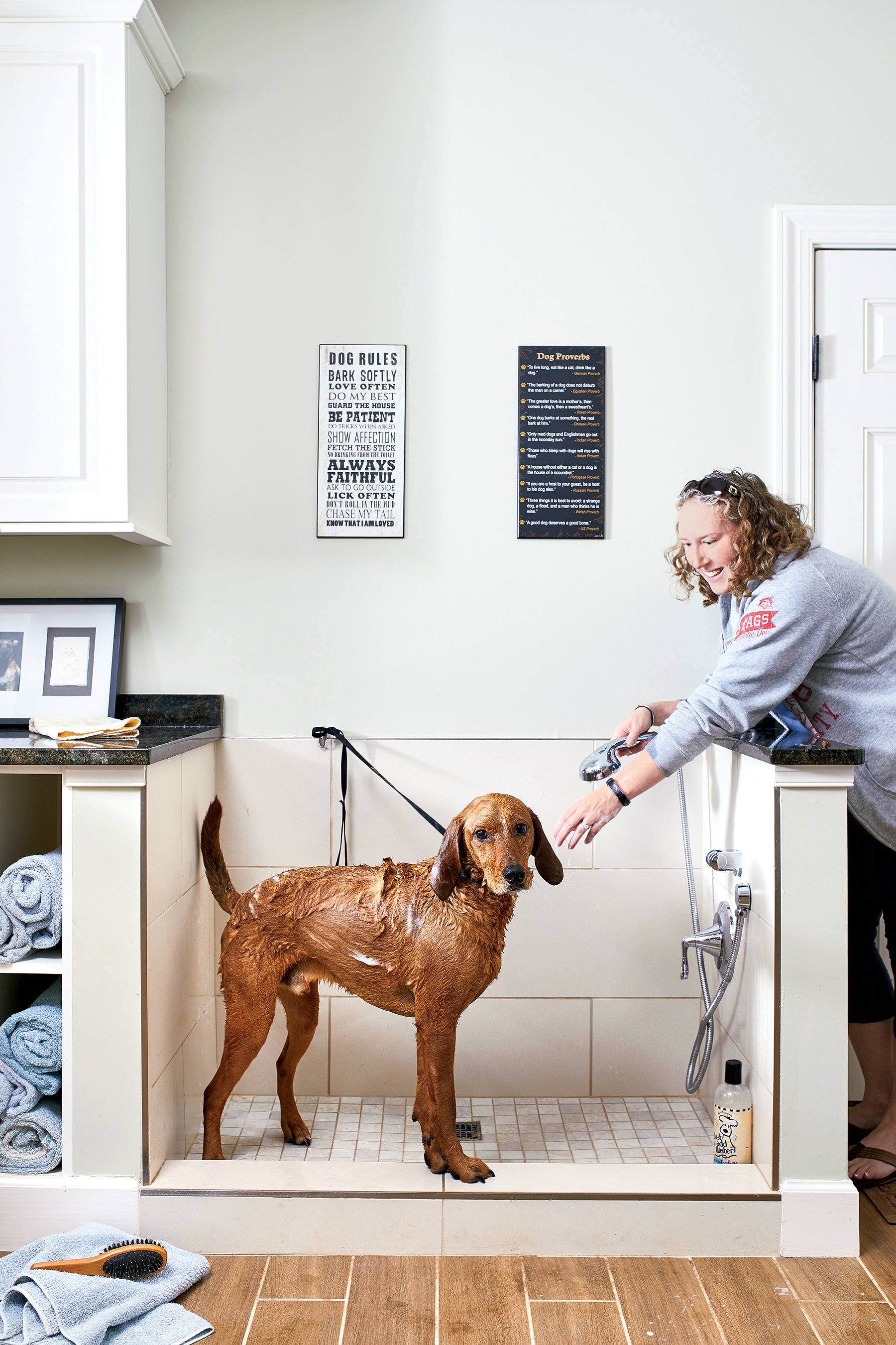 Look Inside Two Washington Houses Designed for Dogs