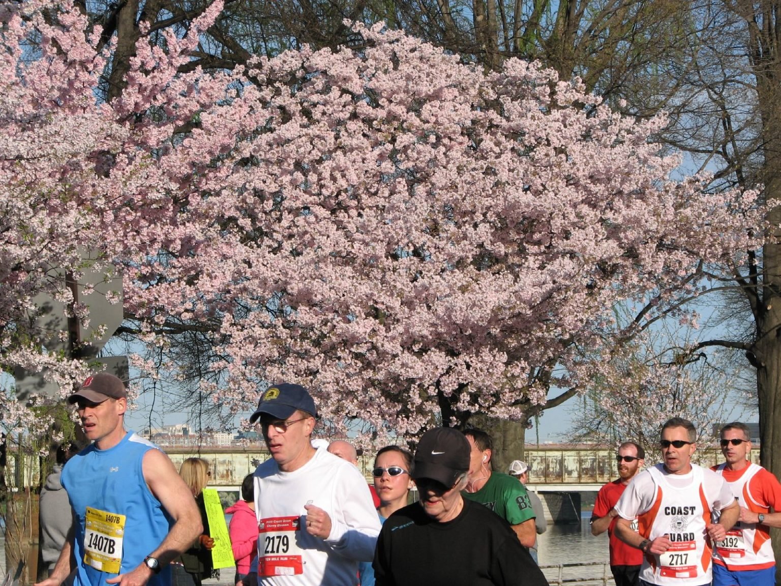 How To Train For The Cherry Blossom Ten Mile Run In Six Weeks