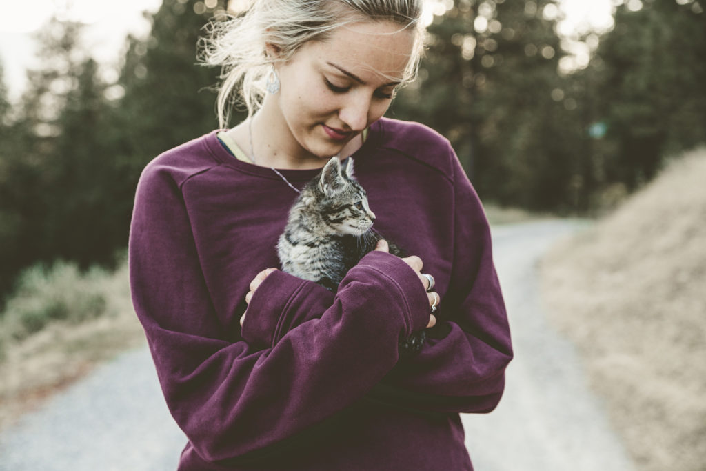 Who doesn't love cuddling a warm kitten? Photograph by Japheth Mast via Unsplash. 