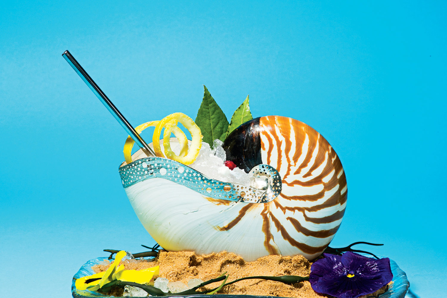 Tiger nautilus shell in a bed of sand for gin-and-tonics at Del Mar. Photograph by Scott Suchman.