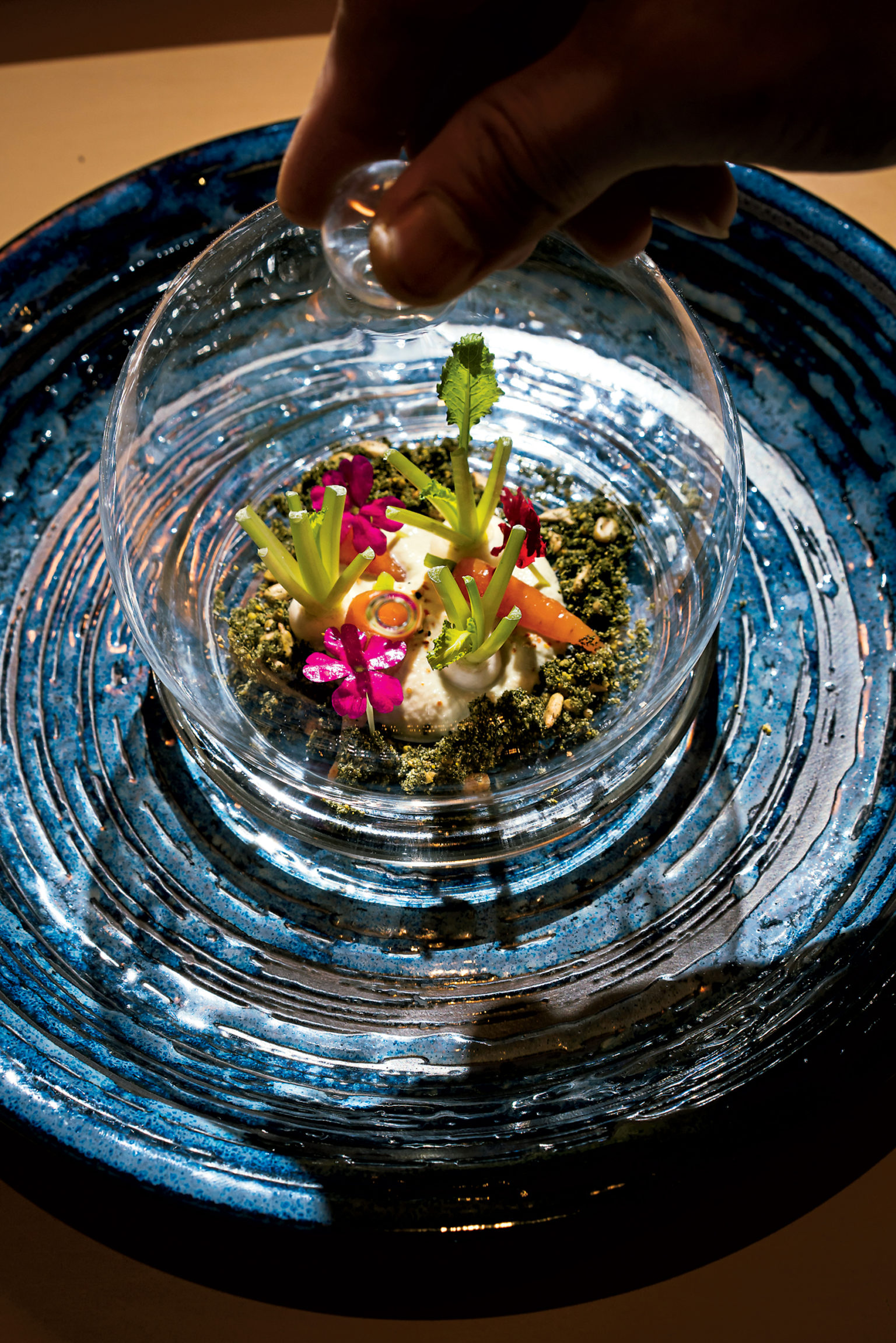 A terrarium salad consists of a seaweed and sunflower “soil,” black-edamame purée, and baby turnips and carrots. Photograph by Scott Suchman.