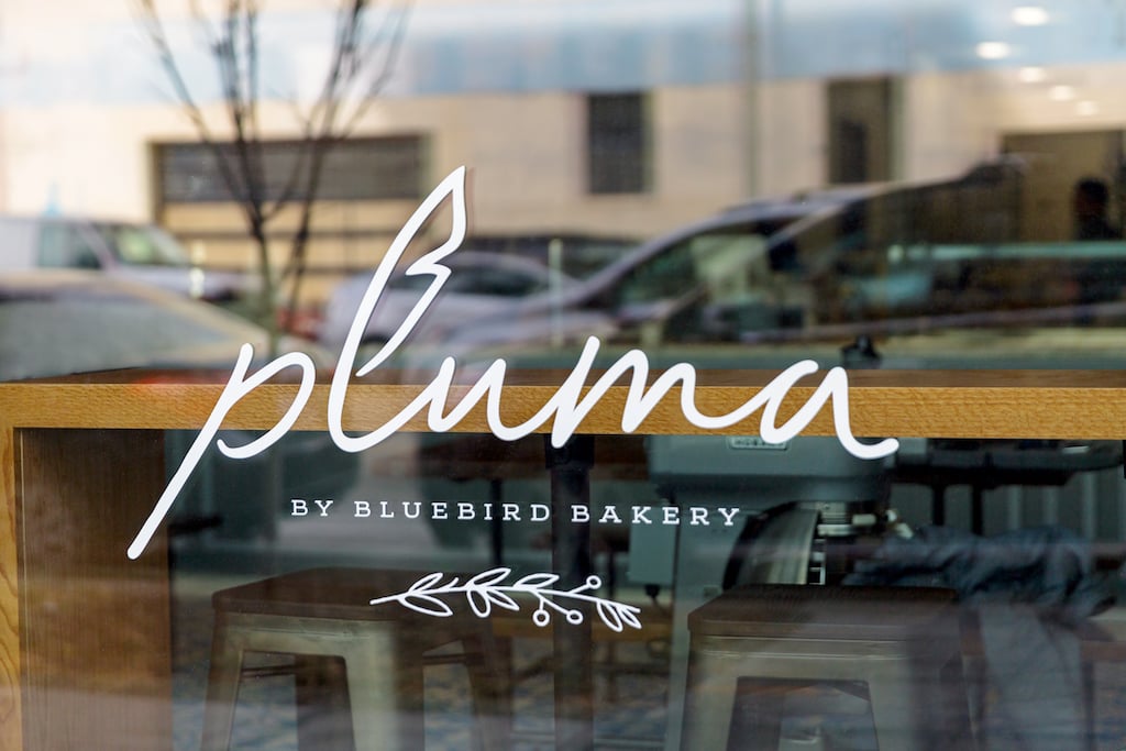 Pluma1 - Washingtonian