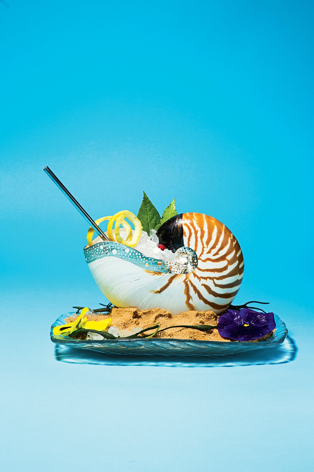 Tiger nautilus shell in a bed of sand for gin-and-tonics at Del Mar.