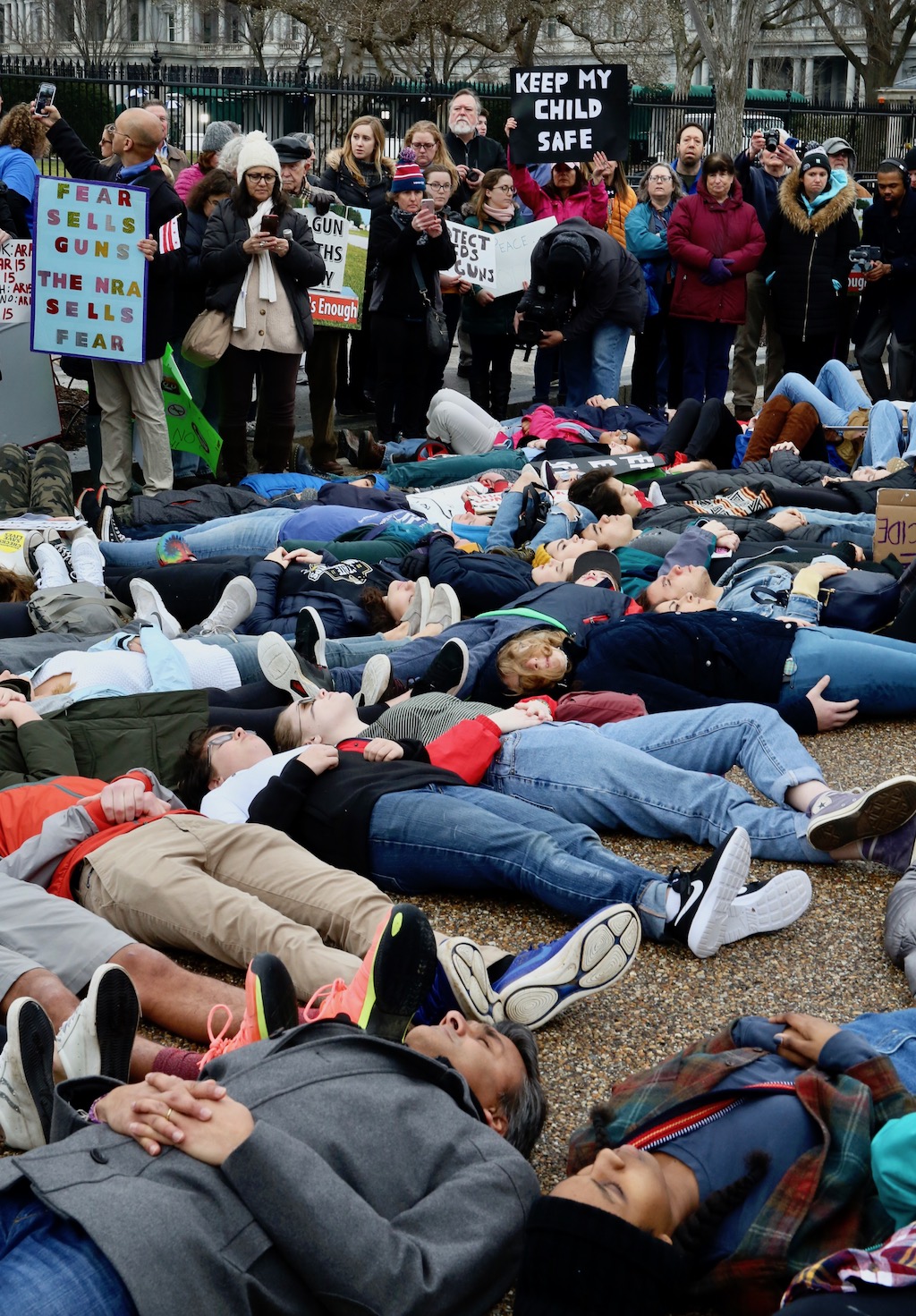 Student protest White House lie in gun laws