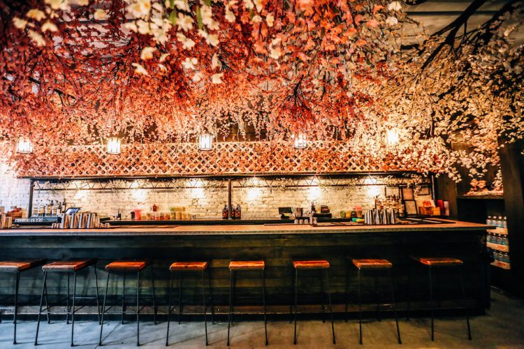 DC’s Cherry Blossom PopUp Bar Is Back With More Flowers and a 10Foot