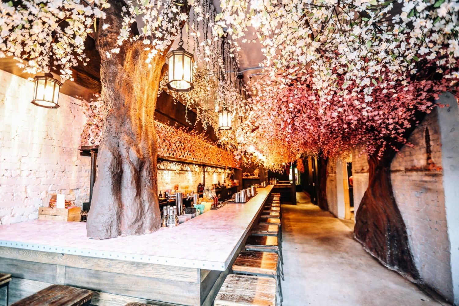 Cherry Blossom Pop Up Bar, Drink Company, cherry blossoms, Godzilla