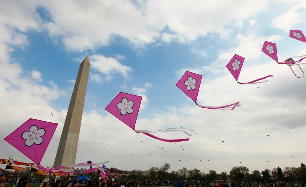 Cherry Blossom Festival, Cherry Blossom DC