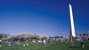 The 6 Best Cherry-Blossom Events in DC