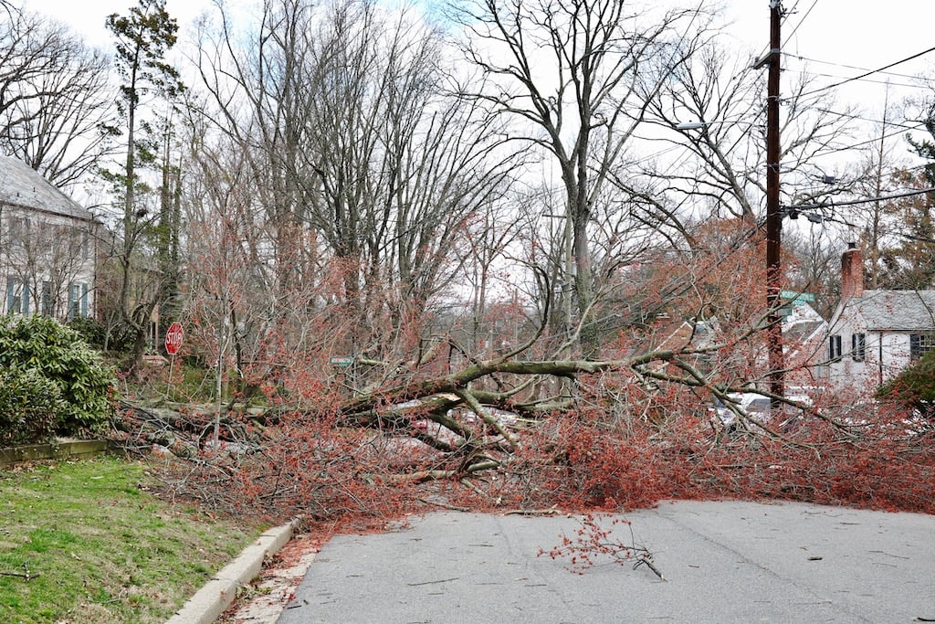 windmageddon dc