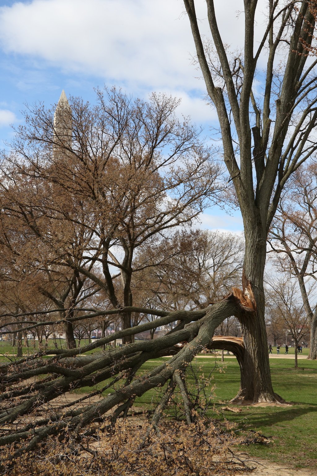 windmageddon dc