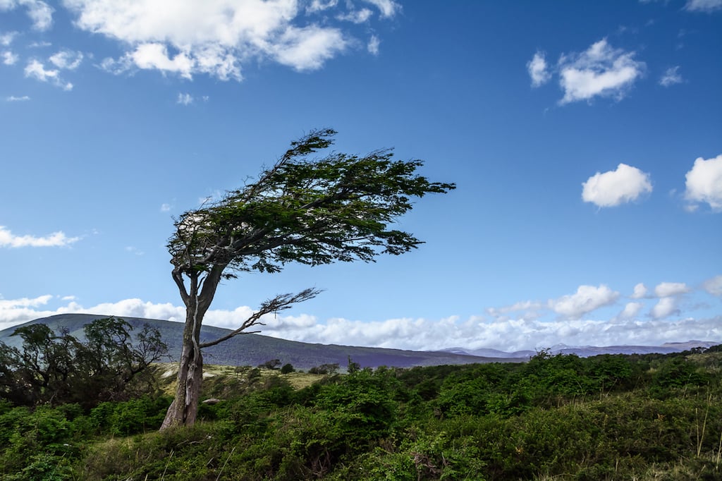 Windmageddon