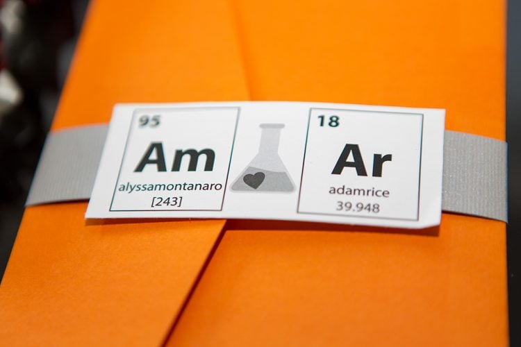 Alyssa Montanaro + Carl Rice-Chemistry-Themed-Wedding-DC-2 Alyssa Montanaro + Carl Rice-Chemistry-Themed-Wedding-DC-2