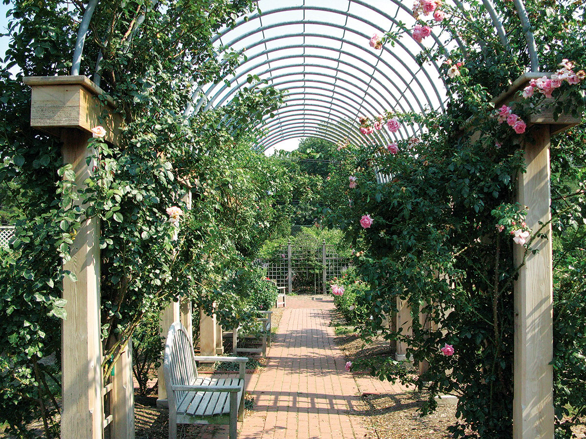 Bon Air Memorial Rose Garden