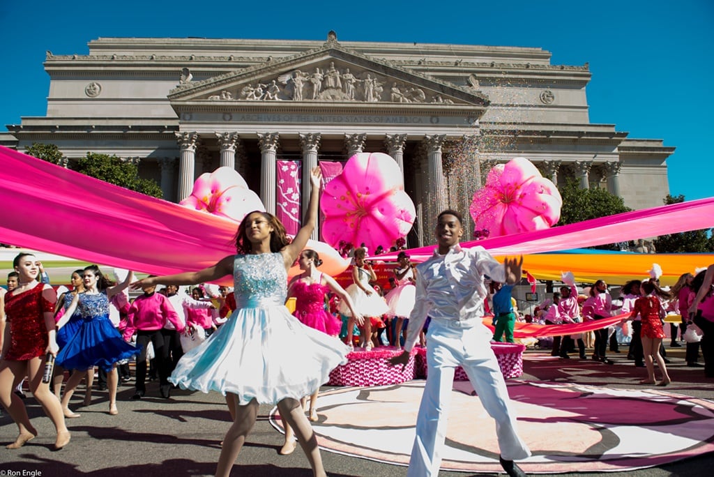 MLB on X: The D.C. Cherry Blossoms have arrived early this year