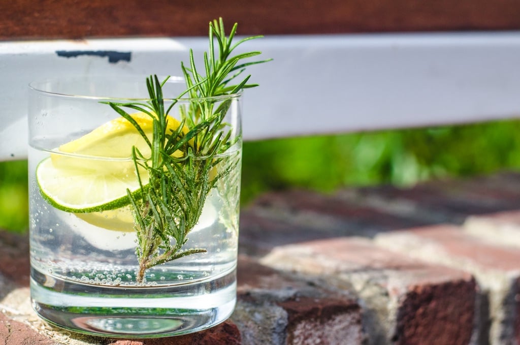 TheBetsy - Washingtonian New outdoor bars rooftop bars gin garden The Betsy.