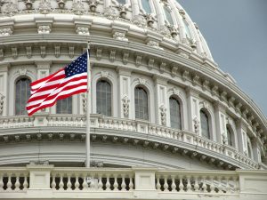 MAGA Geniuses Plot Takeover of US Capitol