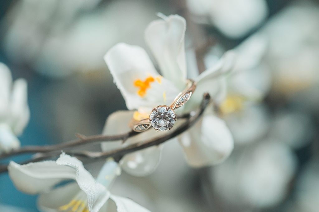 engagement photoshoot session cherry blossom pop-up bar washington DC