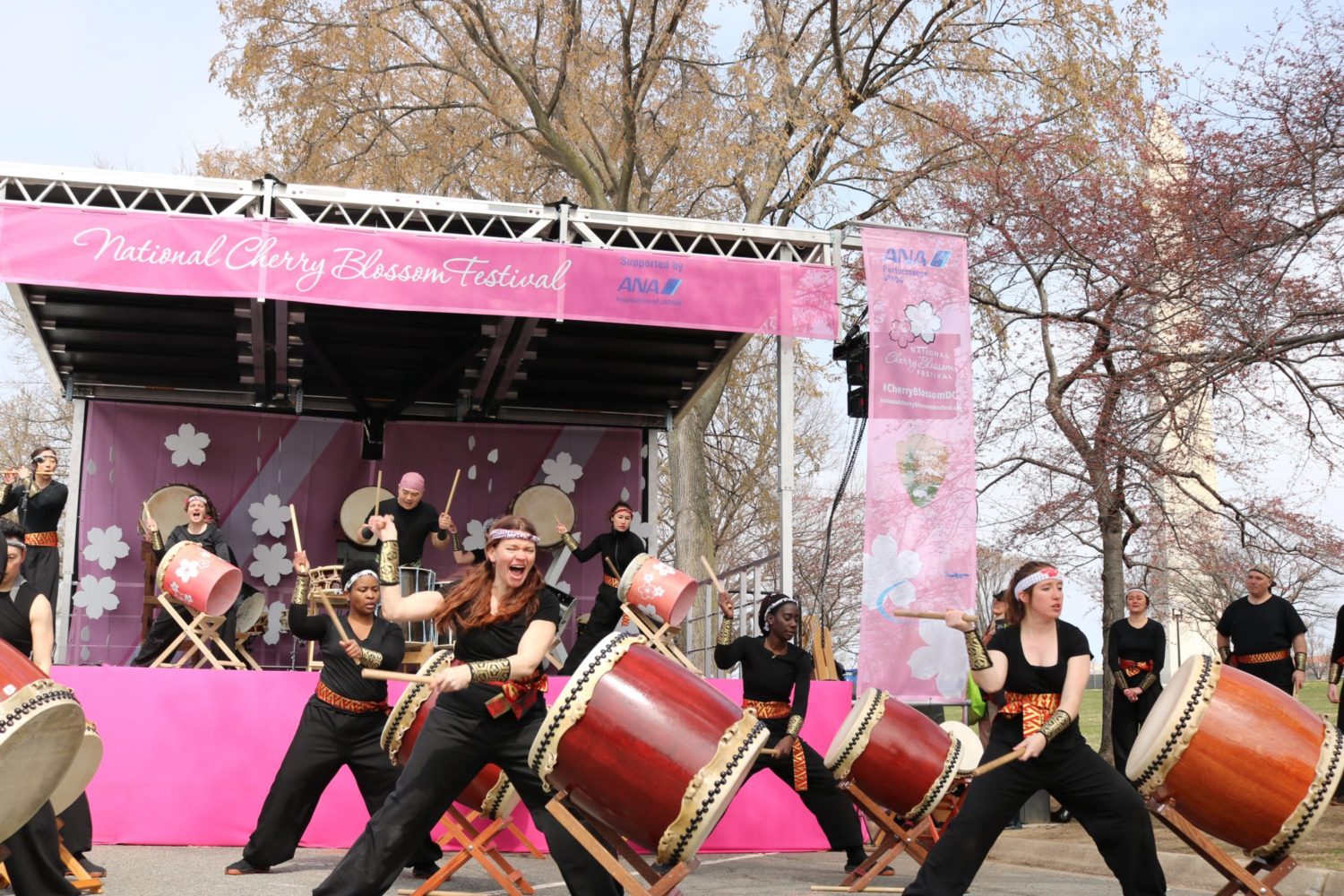 See What Bloomed at the 2018 National Cherry Blossom Festival