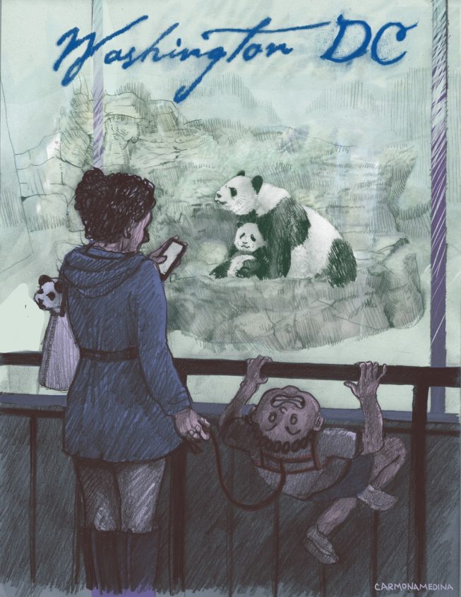 17-National_zoo-V2 17-National_zoo-V2