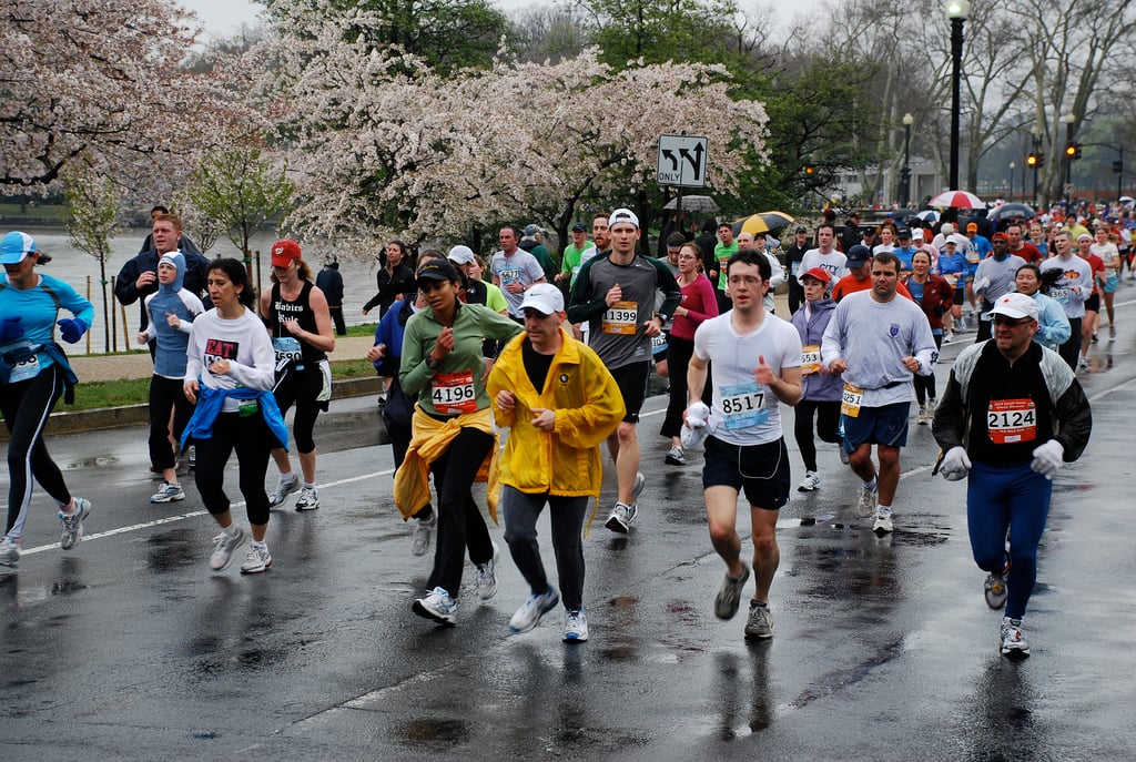 Runners in the Credit Union Cherry Blossom Ten Mile Run, 2008 National Cherry Blossom Festival. Photograph by Adam Fagen via Flickr Creative Commons.