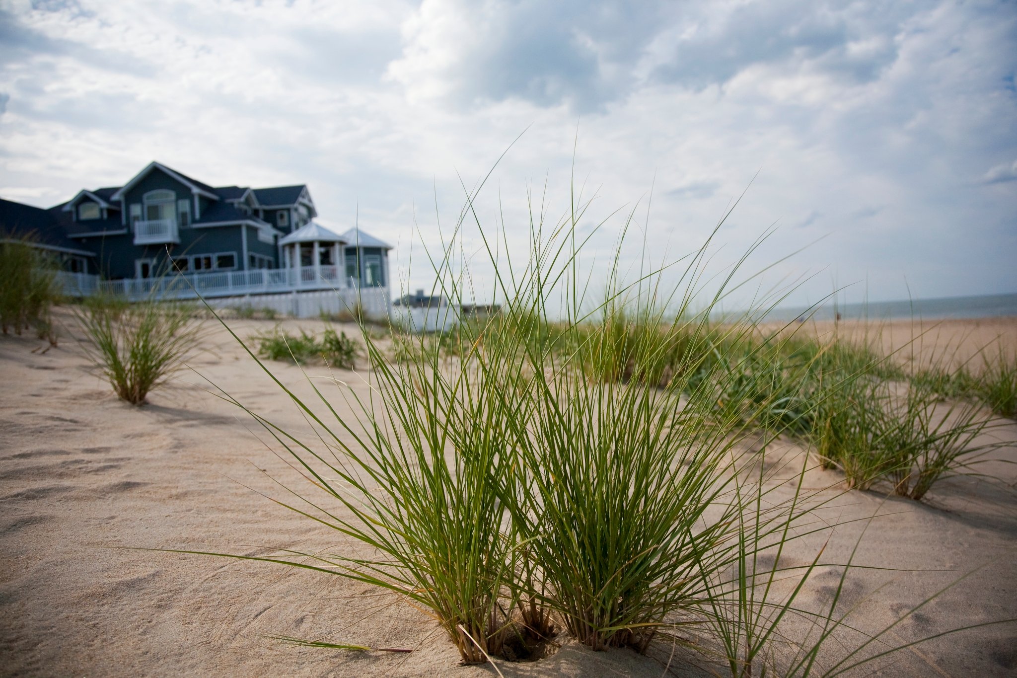 Sandbridge Beach - Washingtonian