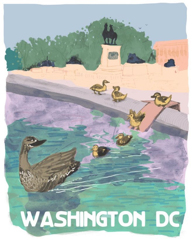 70-ducks 70-ducks