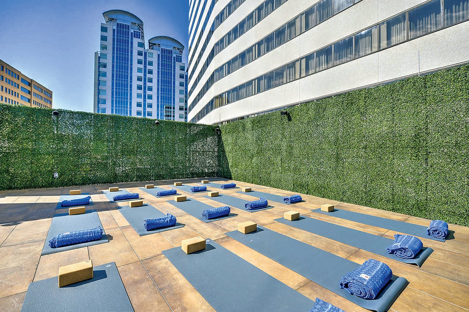 Rooftop yoga at Truebody. Truebody photograph courtesy of Truebody.