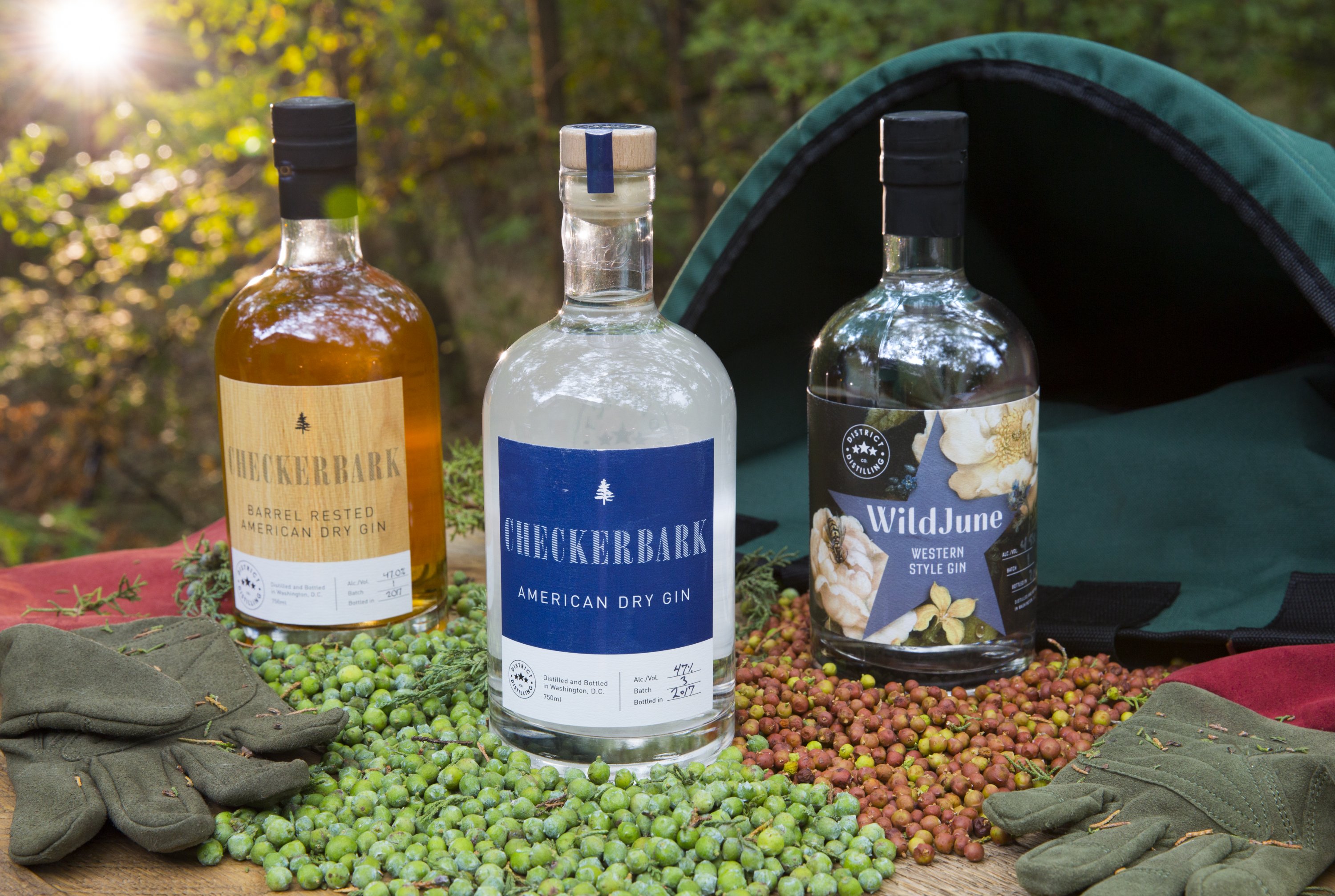 District Distilling Gin Family - Washingtonian